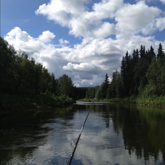 2000+ 5⭐️ REVIEWS - Picture 15 of 17